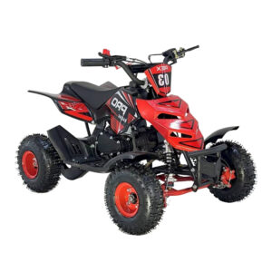 Mini Cuatriciclo Rex 50